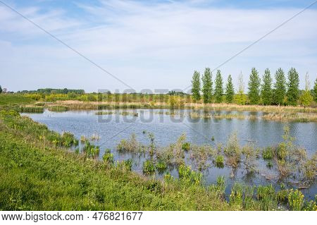 Ponds Of Wetlands At The Vlassenbroek Polder, A Natural Fluid Zone Of The River Scheldt, Baasrode, F