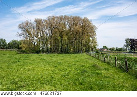 Green Lawns And Trees At The Flemish Countryside Around Zele, Flanders, Belgium