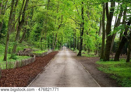 Straight Path Through The Park Of The Woluwe Park, Auderghem, Brussels, Belgium