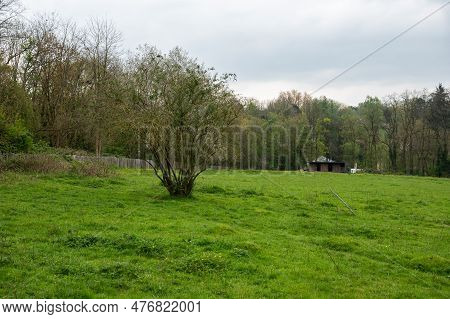 Green Fields And Trees At The Avijl Plateau Regional Park, Uccle, Brussels, Belgium