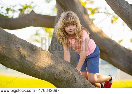 Child Hugging A Tree Branch. Little Boy Kid On A Tree Branch. Kid Climbs A Tree. Active Kid Playing 