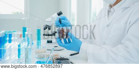 Scientist Check Chemical Food Residues In Laboratory. Control Experts Inspect The Concentration Of C