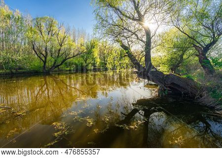 Raba Backwater In Spring, Gyirmot, Gyor, Hungary.