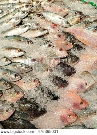 Selective View Of Several Types Of Fresh Fish With Shaved Ice For Cooling Are Sold In Supermarkets