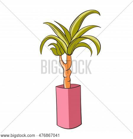 Home Dracena In A Pot Illustration. Flat Style. Vector Dracena Isolated On A White Background.