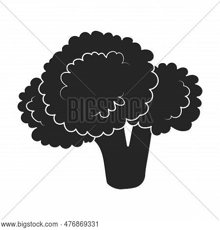 Broccoli Vector Icon.black Vector Icon Isolated On White Background Broccoli.