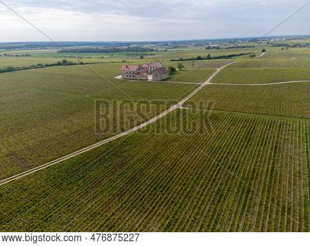 Panoramic Aerial View On Green Grand Cru Champagne Vineyards Near Villages Avize And Oger, Cotes Des