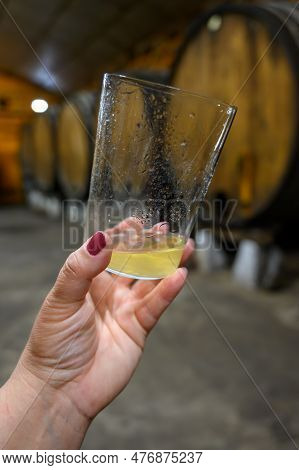 Tasting Of Traditional Natural Asturian Cider Made From fermented Apples In Barrels For Several Mont