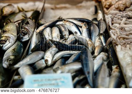 Fish And Some Squid On The Market Of Melbourne