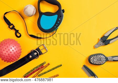 Dog Accessories On Yellow Background. Top View. Pets And Animals Concept