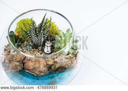 Florarium In A Glass Vase With Haworthia, Pachyphytum And Other Succulents Near The Sea. Place For T