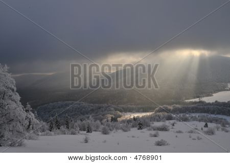 Winter