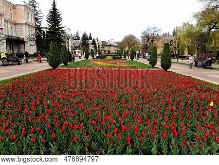 Кисловодск, Stavropol Territory, Russia. April 30, 2023. Kurortniy Boulevard, A Favorite Place For W