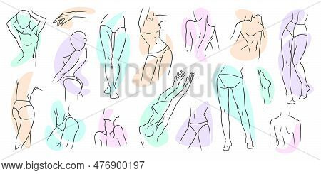 Woman Body Care. Leg Parts. Outline Beauty Arm. Female Face. Underwear Clothing. Feminine Naked Tors