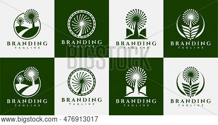 Set Of Abstract Dandelion Flower Logo Design. Modern Line Dandelion Logo Brand.