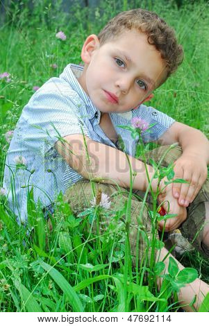 Little boy sits on a lawn of clover.