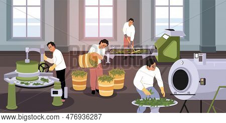 Drying Tea Process. People Work For Traditional Drink Industry, Dried, Sorted, Fermented Green Leave