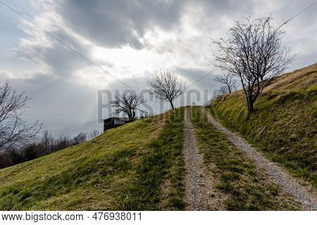 2023 03 11 Vallonara Tree And Path 2