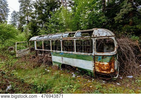 Old Overgrown Broken Bus. Green Post-apocalyptic Concept