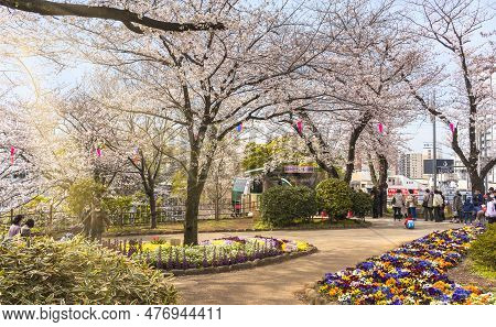 Tokyo, Japan - March 30 2023: People Waiting In Row The Monorail Asukarugo After Enjoying The Somei 