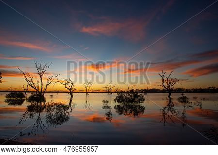 Sunrise With Pink Clouds And Orange Glow Over A Lake With Tree Silhouettes In Outback Australia.