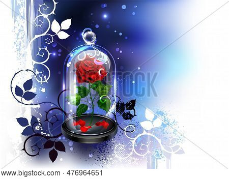 Transparent, Glass Dome With Artistically Painted Red Rose On Nocturnal, Blue Background Painted Wit