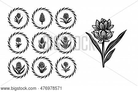 Linotype Floral Icon Collection In Whimsical Vector Art. Decorative Foliate Design For Rustic Botany
