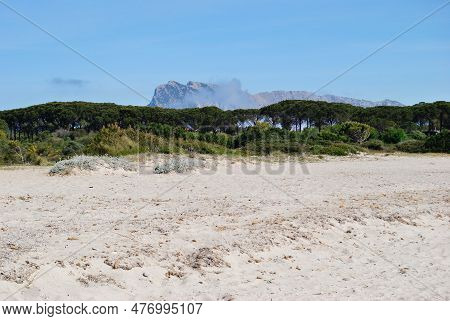 The Beach Of Lu Impostu, In Baclkground The Island Of Tavolara
