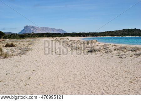 The Beach Of Lu Impostu, In Baclkground The Island Of Tavolara