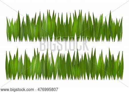 Green Grass Vector Border On White Or Transparent Background. Field Or Lawn Isolated Meadow Turf. Re