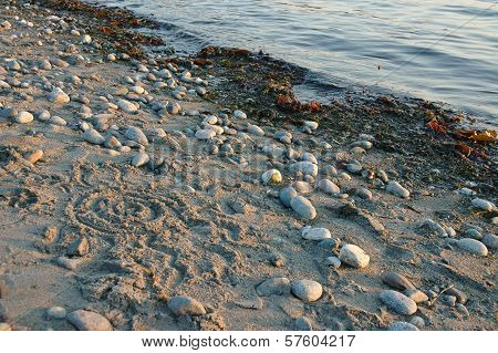 Calm Stone Beach In The Evening