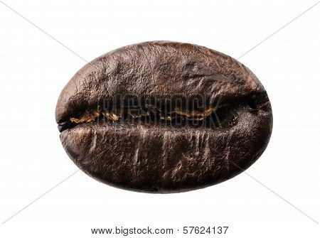 Coffee Grain