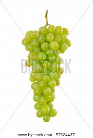 grapes