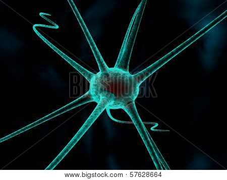 The Concept Of A Neuron, The Molecule