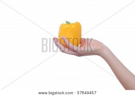 hand with pepper isolated on white