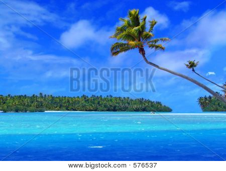 Un pied île