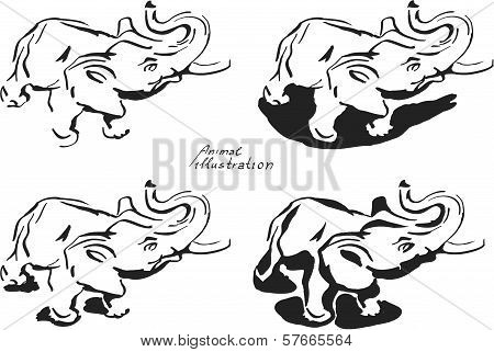 Elephants