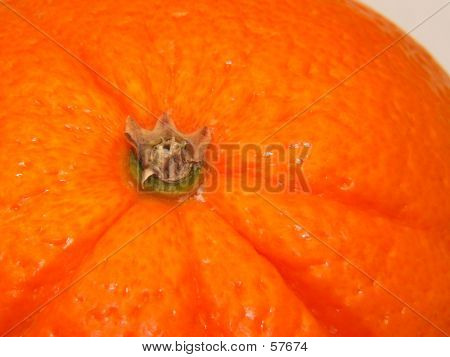 Bliska Orange