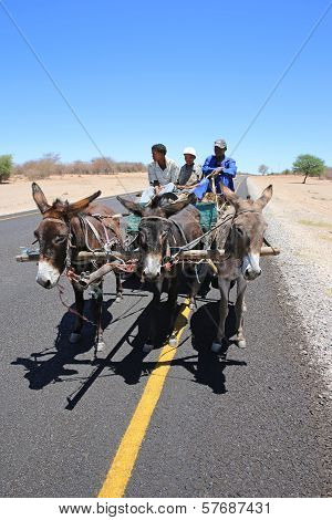 Donkey Cart