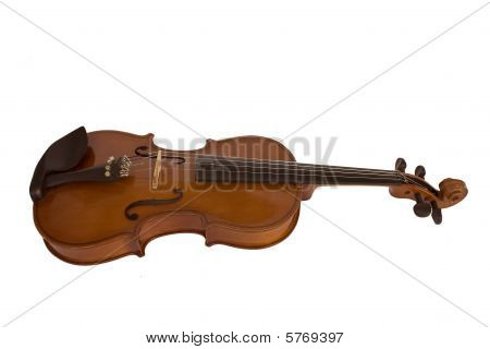 Violin on the white background