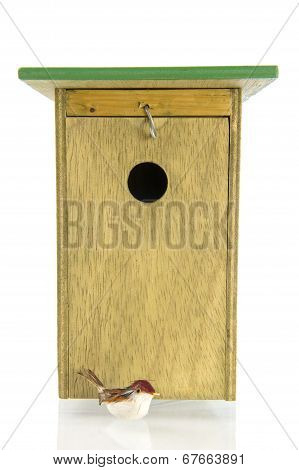 Tomtit In Front Of Birdhouse