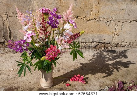 still life bouquet with lupines