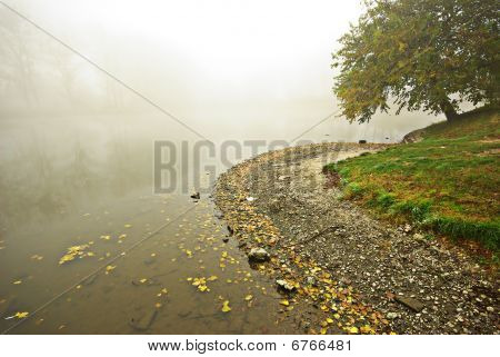 Ködös őszi