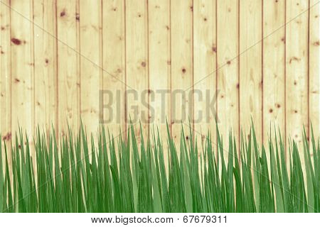 Green Grass And Wooden Wall