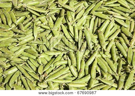 An Abundace Of Green Peas