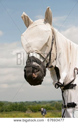 Grazing Muzzle