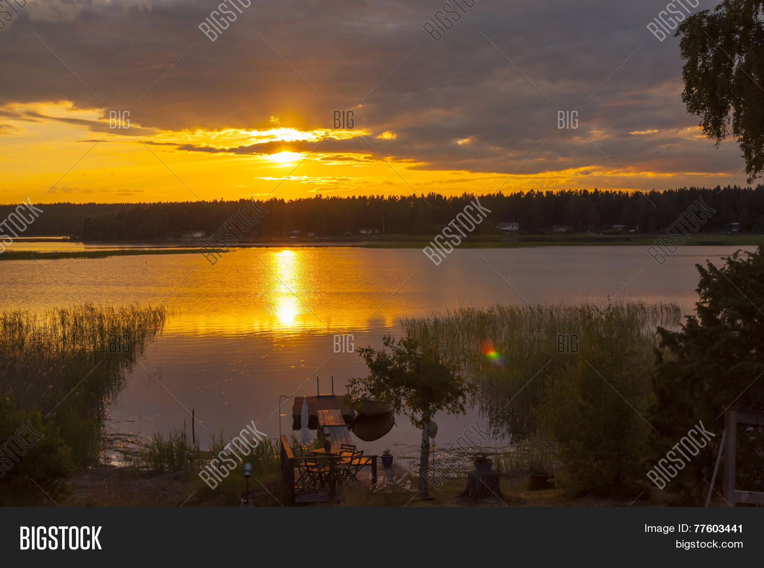 Image Preview