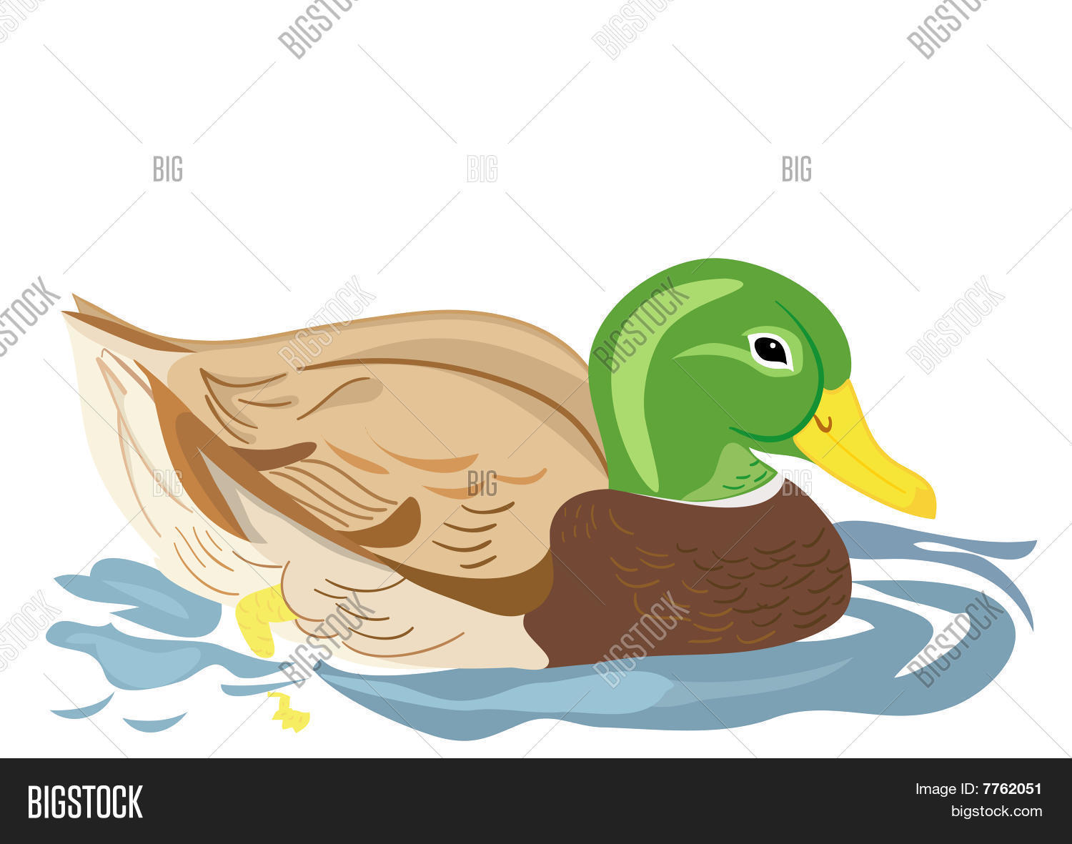 Image Preview