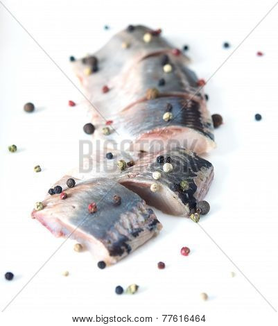 Herring