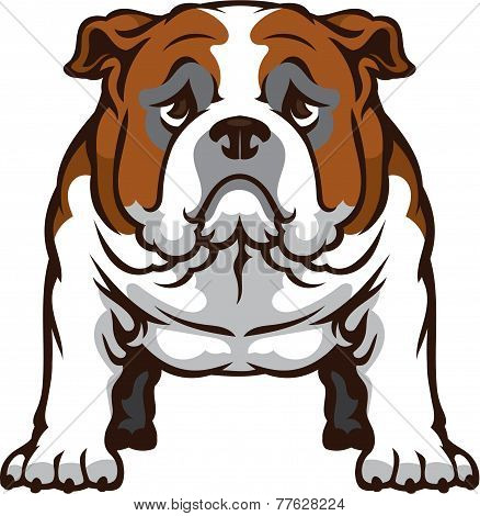 Bulldog